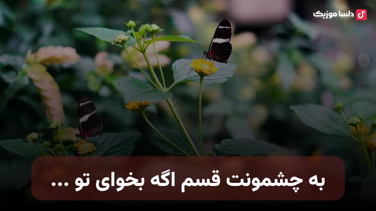 به چشمونت قسم اگه بخوای تو شاد با صدای زن